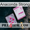 Anaconda Strong 32